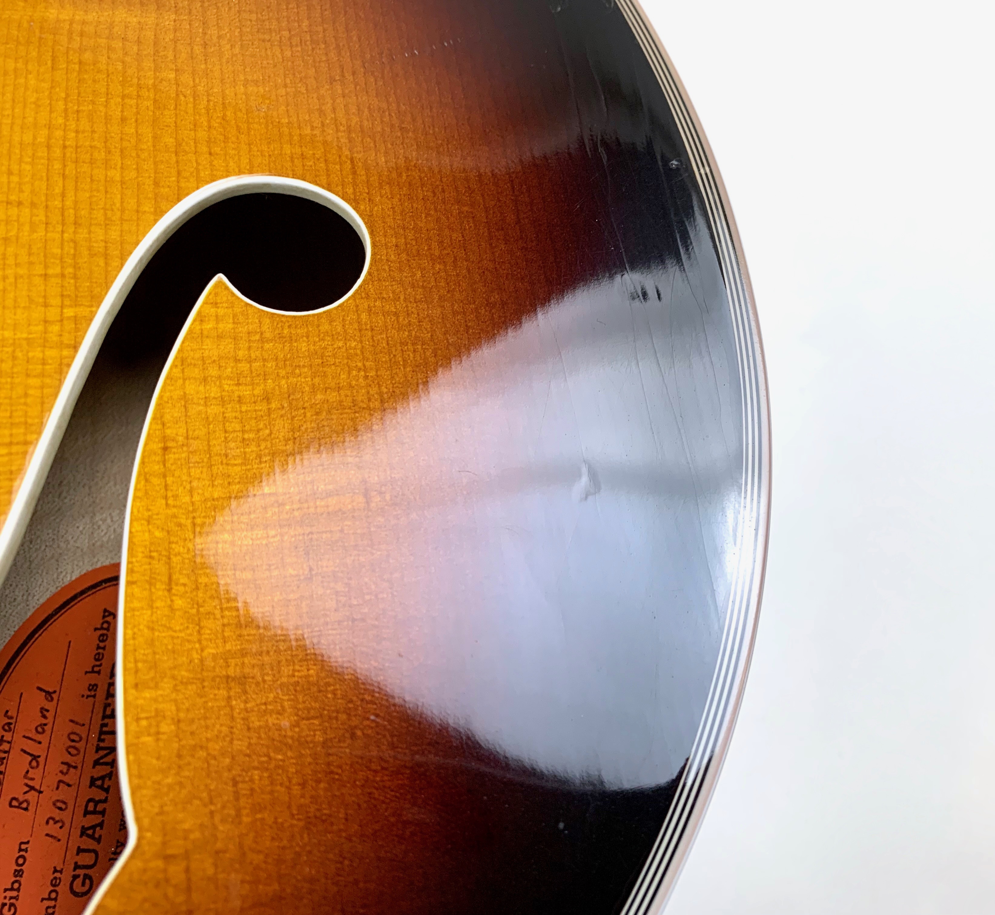 Gibson Byrdland (36352)