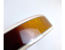 Gibson Byrdland (64981)