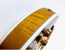 Gibson Byrdland (76186)