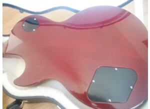 Gibson Les Paul Standard 50's (31784)