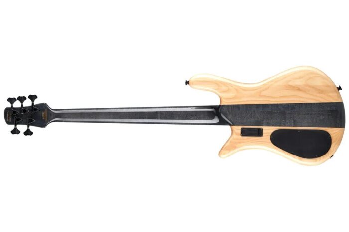 Spector Euro 5 CST Spalted Maple : Euro 5 BACK CST Spalted Maple Spector Euro 5 CST Spalted Maple : Euro 5 BACK CST Spalted Maple
