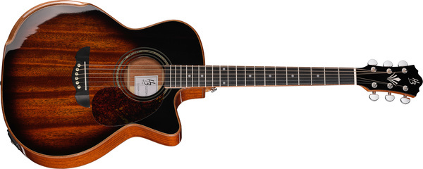Harley Benton CLG-650SM-CE Solid Wood : CLG-650SM-CE Solid Wood2
