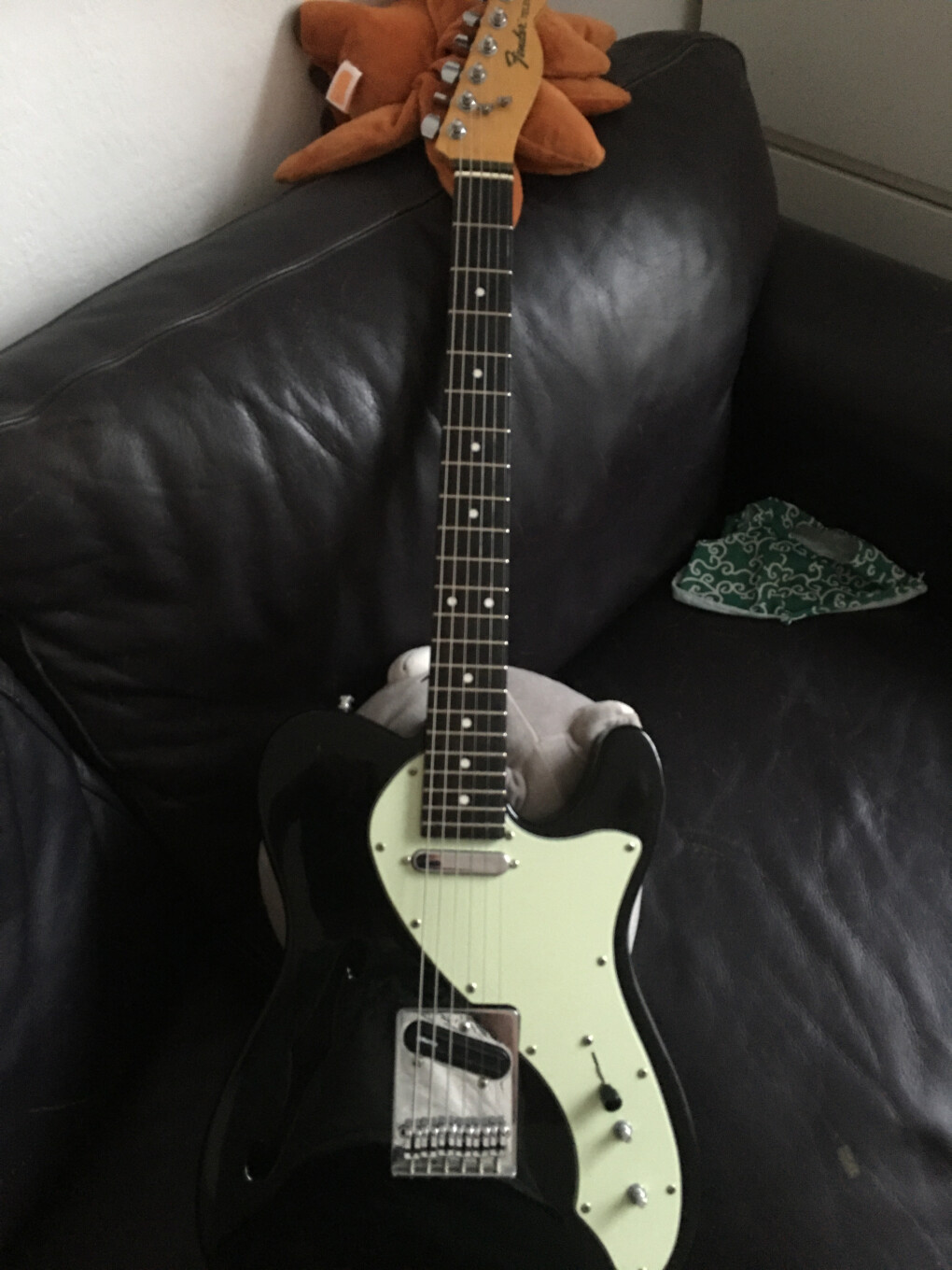 6508973.jpeg 6508973.jpeg