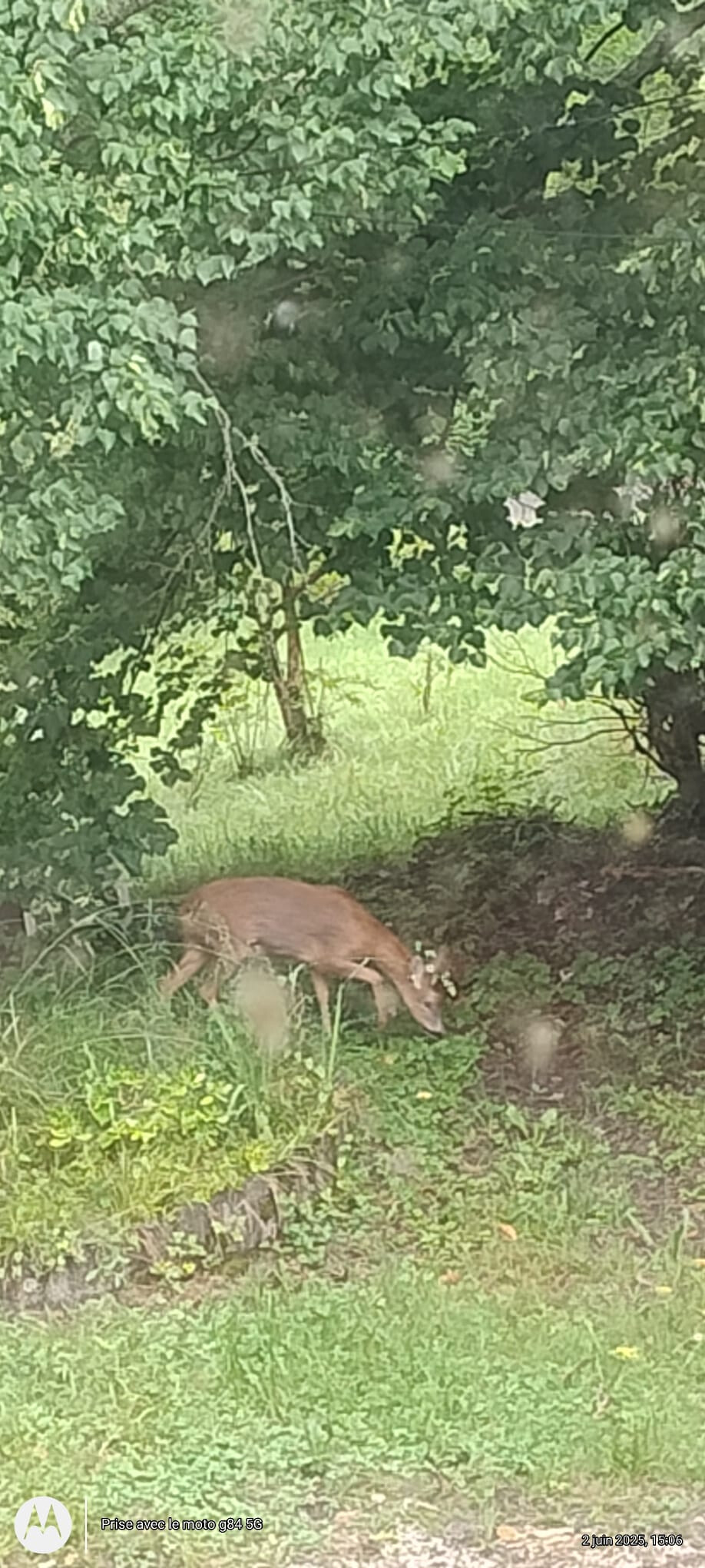 6509102.jpg 6509102.jpg