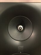 tweeter coaxial tweeter coaxial