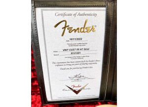 Fender Custom Shop 2015 '55 Relic Stratocaster (50357)