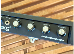 Moog Music Etherwave Theremin (97924)
