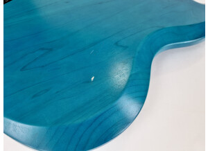 Gibson SG Special Raw Power (1610)