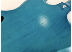 Gibson SG Special Raw Power (71274)