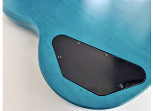 Gibson SG Special Raw Power (27760)