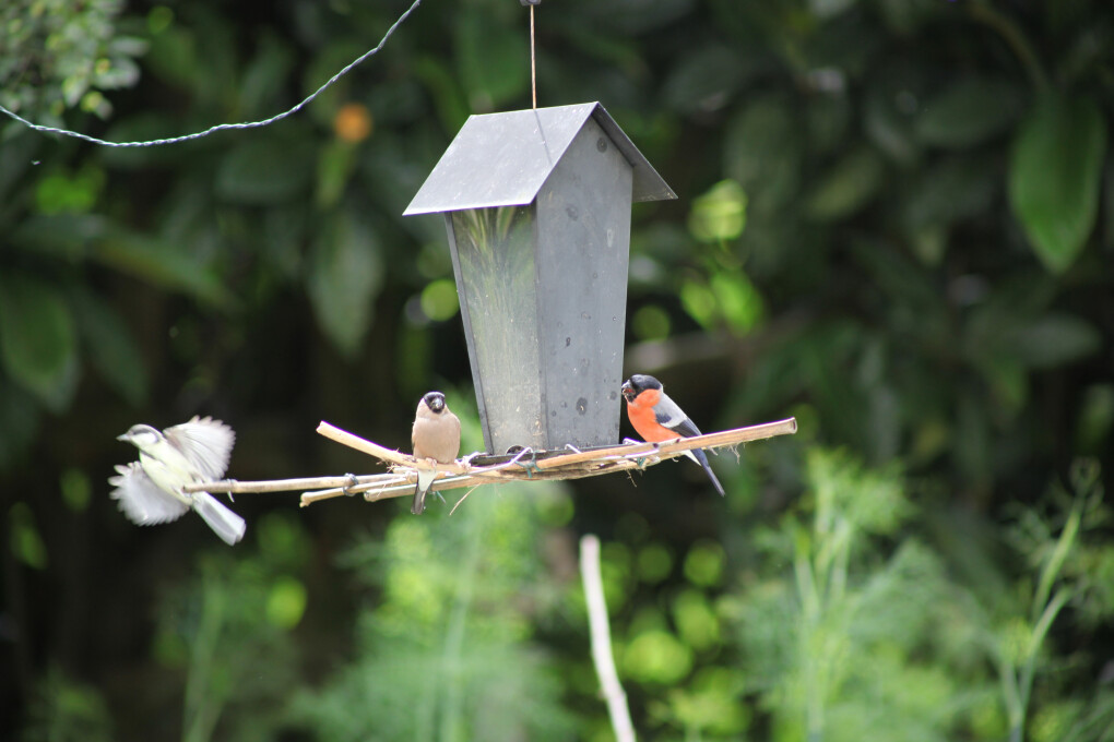 6512787.jpg 6512787.jpg