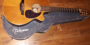 Vends guitare électro acoustique