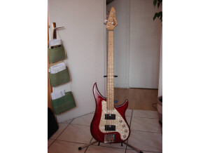 Vigier Excess (86559)