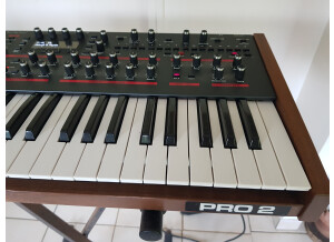 Dave Smith Instruments Pro 2 (61797)