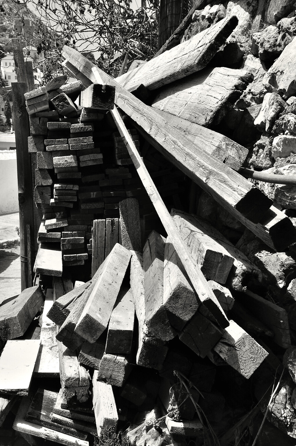 6518601.jpg 6518601.jpg