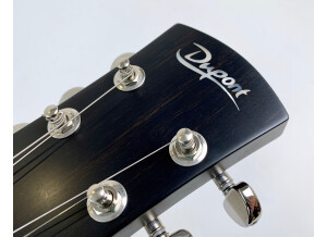 Maurice Dupont Saint-Louis (64885)