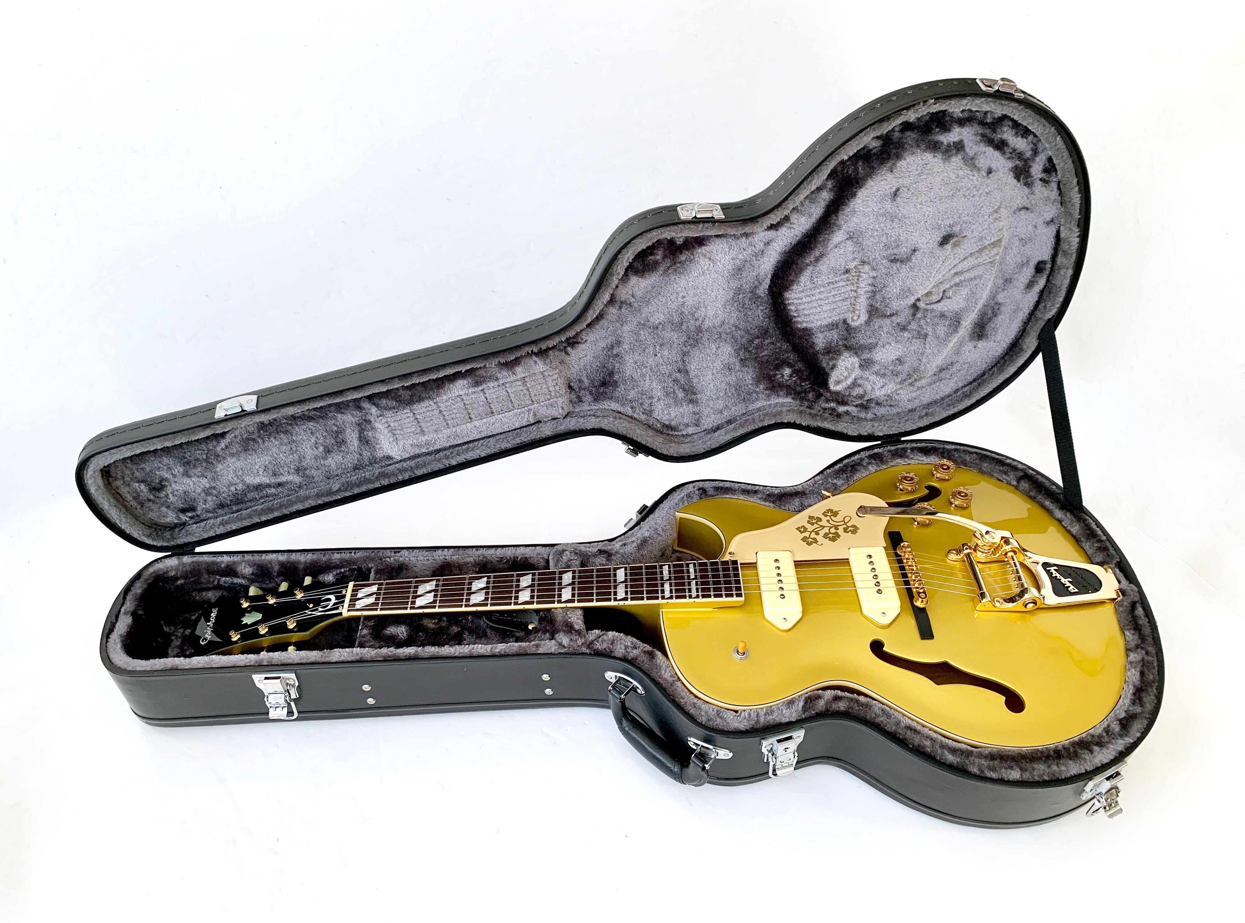 Photos et images Epiphone ES-295 - Audiofanzine