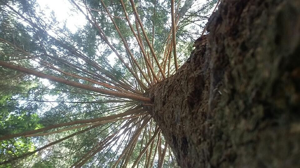 6518771.jpg 6518771.jpg