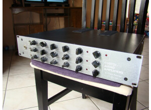 Custom Audio Electronics 3 + SE (52079)