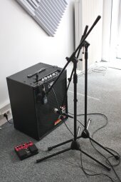 Peavey Max 115 2013 Edition Peavey Max 115 2013 Edition