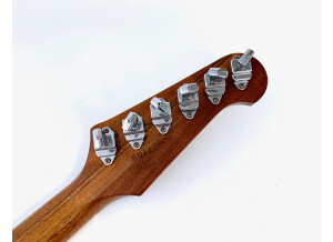 Gibson Firebird V (73592)