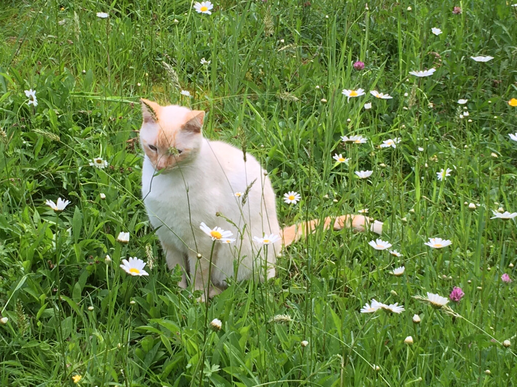 6522583.jpg 6522583.jpg