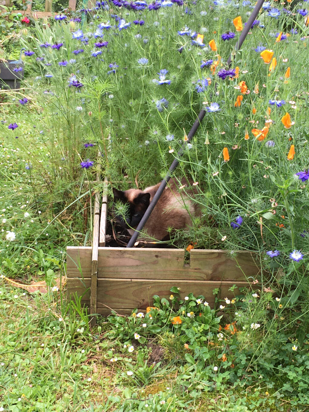 6522584.jpg 6522584.jpg