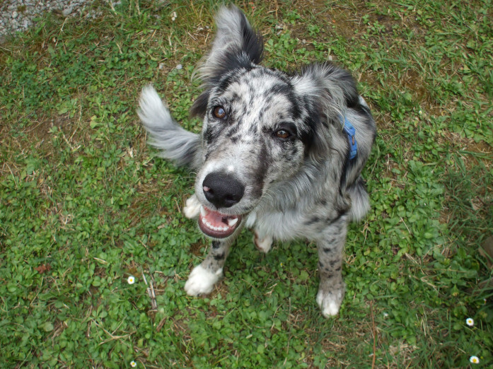 6522585.jpg 6522585.jpg