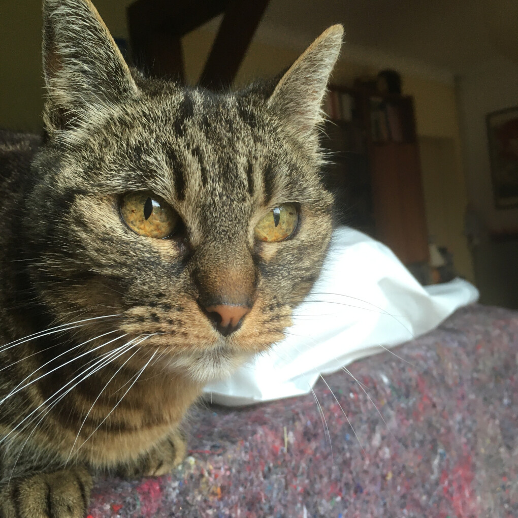 6522594.jpg 6522594.jpg