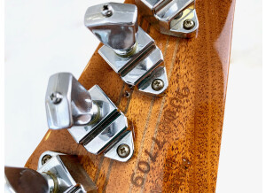 Gibson Firebird V (2816)