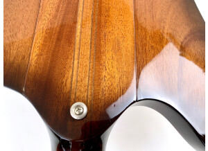 Gibson Firebird V (52319)