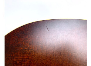 Art & Lutherie Legacy (20435)