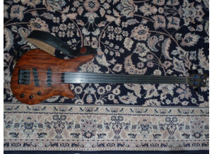 Warwick Thumb bass fretless