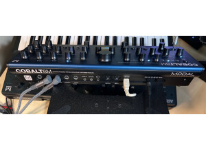 Modal Electronics Cobalt8M (80705)
