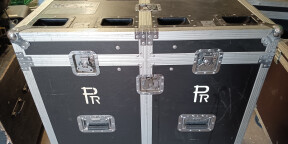 Fly cases pour 2 lyres type pr xs 250