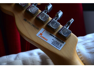 Fender American Standard Telecaster - Natural Maple