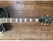 Ibanez AFJ95 (29897)