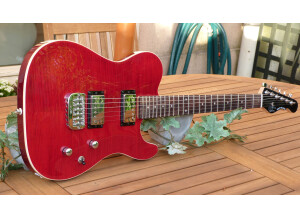 G&L Tribute ASAT Deluxe Carved Top - Trans Red Rosewood