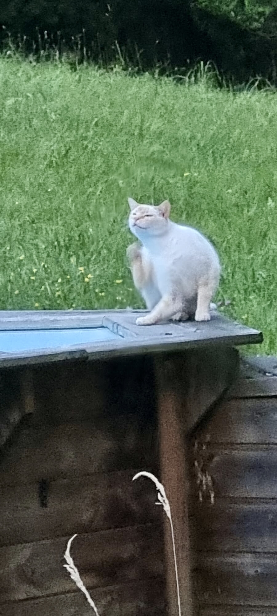 6528410.jpg 6528410.jpg