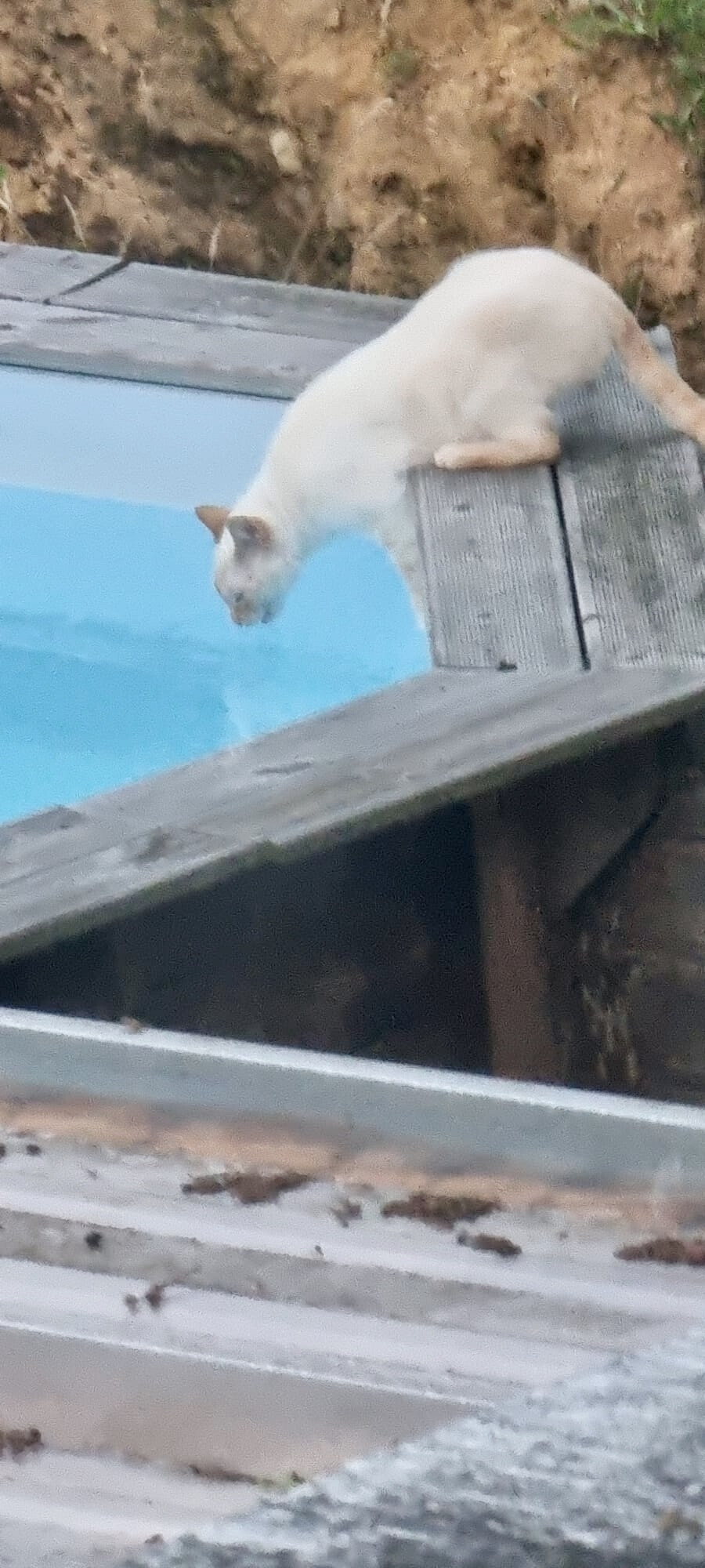 6528415.jpg 6528415.jpg