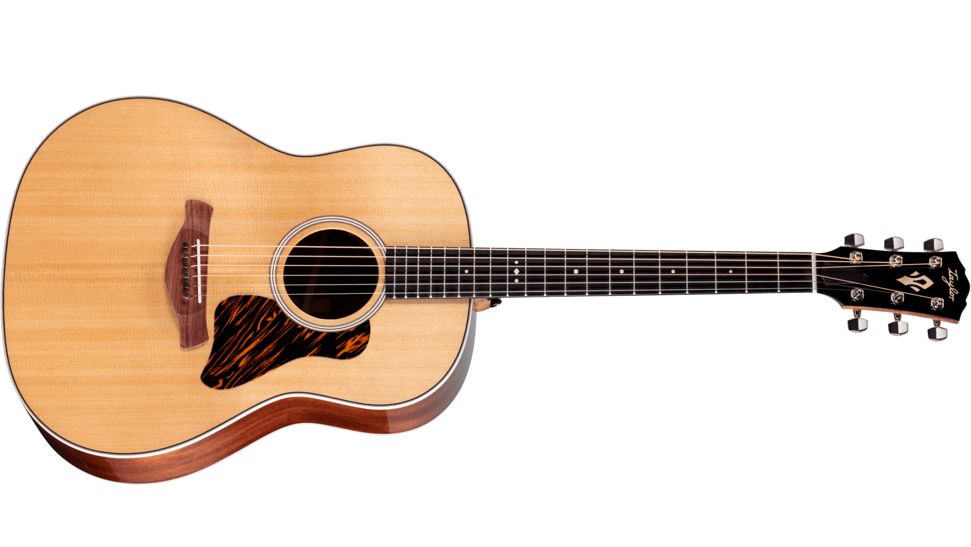 Taylor Gold Label 517e : Gold Label 517e