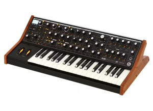 moog1