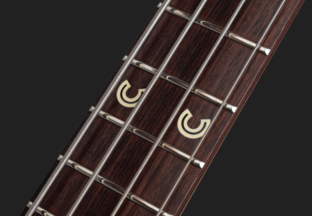 Chris Chaney BassINLAY