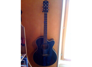 Yamaha CPX-5