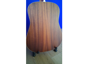 Larrivée D-03 (34768)