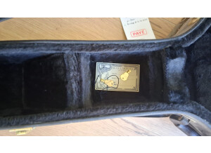 Larrivée D-03 (27806)