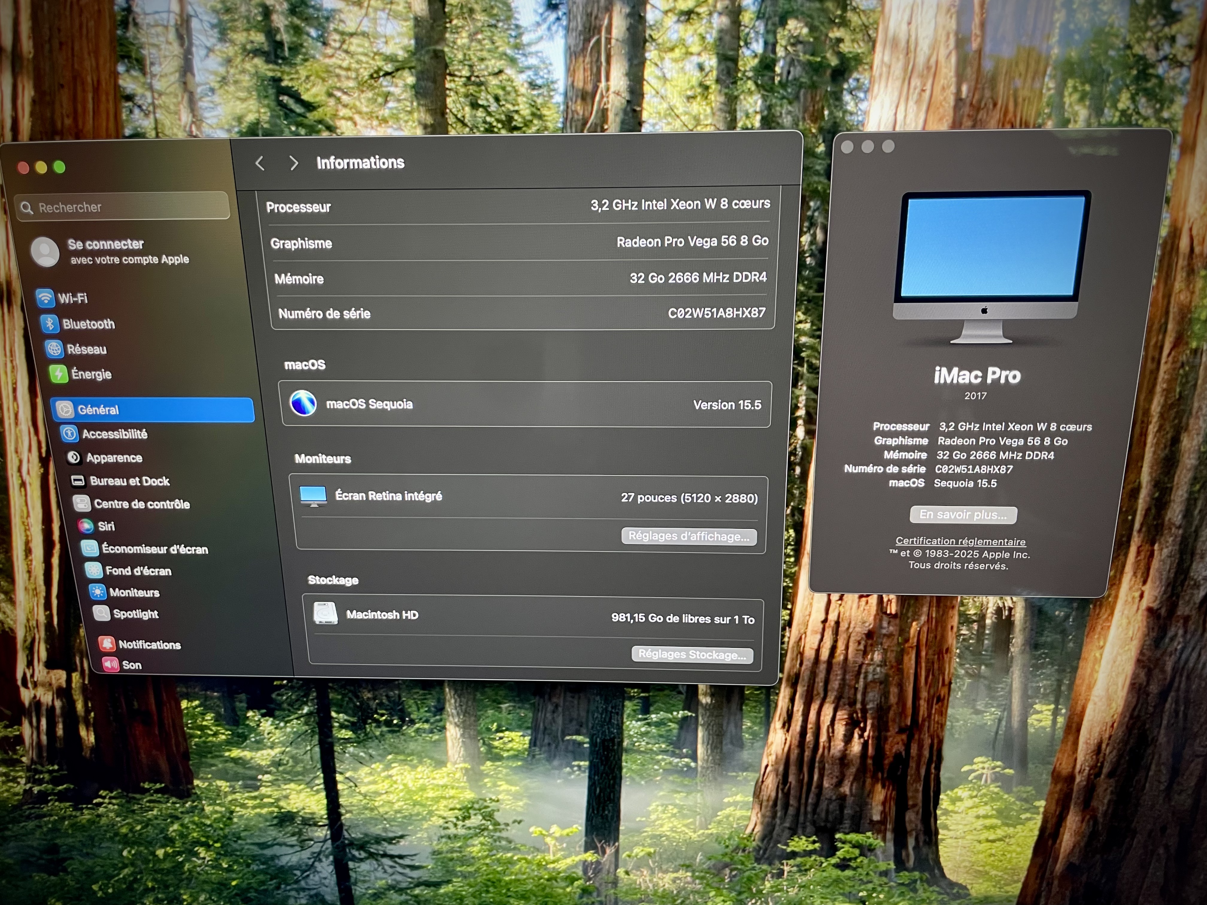 IMG 0556