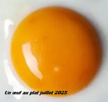 6535209.jpg 6535209.jpg