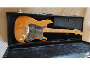 fender  strato lite 1
