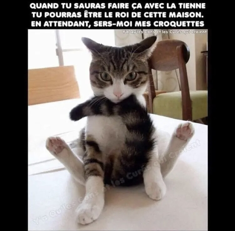 6535391.jpeg 6535391.jpeg